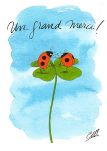 CARTES D'ART　ポストカード　てんとう虫